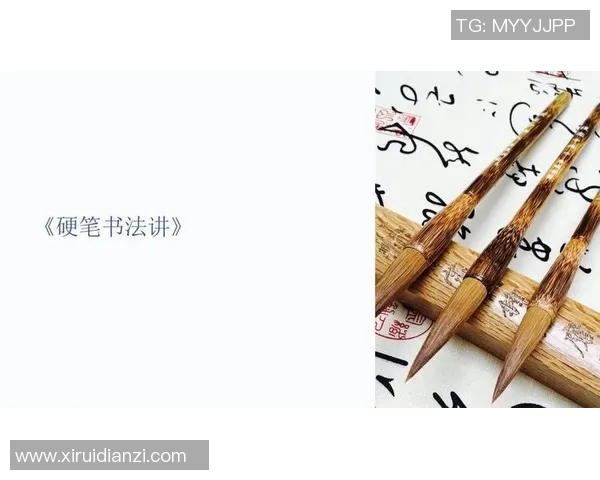 竞技体育英文教学：从基础术语到专业表达的全面指南